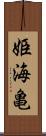 姫海亀 Scroll