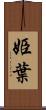 姫葉 Scroll