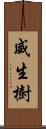 威生樹 Scroll