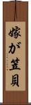 嫁が笠貝 Scroll