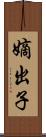 嫡出子 Scroll