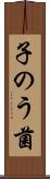 子のう菌 Scroll
