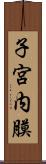 子宮内膜 Scroll