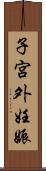子宮外妊娠 Scroll