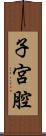 子宮腔 Scroll