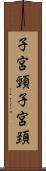 子宮頸 Scroll