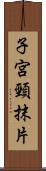子宮頸抹片 Scroll