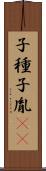 子種 Scroll