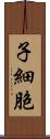 子細胞 Scroll