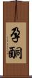 孕酮 Scroll