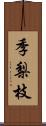 季梨枝 Scroll