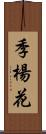季楊花 Scroll