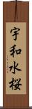 宇和水桜 Scroll