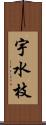 宇水枝 Scroll