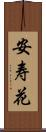 安寿花 Scroll