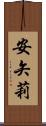 安矢莉 Scroll