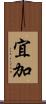 宜加 Scroll