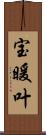 宝暖叶 Scroll