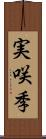 実咲季 Scroll