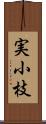 実小枝 Scroll