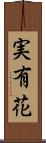 実有花 Scroll