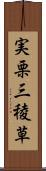 実栗 Scroll