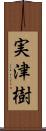 実津樹 Scroll