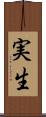 実生 Scroll