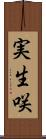 実生咲 Scroll
