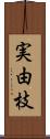 実由枝 Scroll