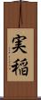実稲 Scroll