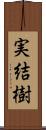 実結樹 Scroll