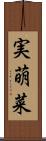 実萌菜 Scroll