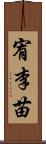 宥李苗 Scroll