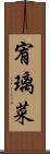 宥璃菜 Scroll