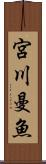 宮川曼魚 Scroll