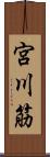 宮川筋 Scroll