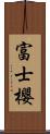 富士櫻 Scroll