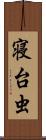 寝台虫 Scroll