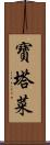 寶塔菜 Scroll