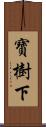 寶樹下 Scroll