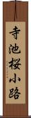 寺池桜小路 Scroll