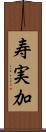 寿実加 Scroll