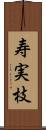 寿実枝 Scroll