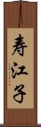 寿江子 Scroll