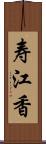 寿江香 Scroll