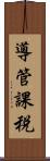 導管課税 Scroll