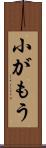 小がもう Scroll