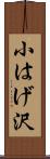 小はげ沢 Scroll