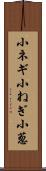 小ネギ Scroll